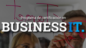 Business IT Program